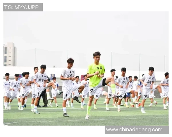 2015年退役足球明星回顾与影响分析探讨