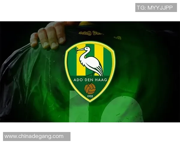 杭州排球队在联合会杯中的速度表现分析与点评